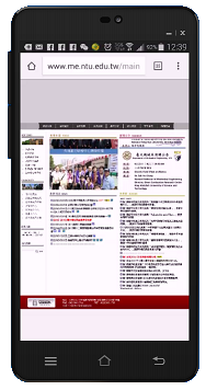 傳統網站3-手機顯示(點圖可預覽)